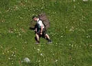 dji_0102