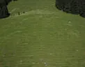 dji_0108