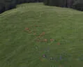dji_9003