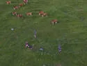 dji_9003_a
